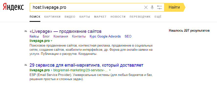 Скриншот выдачи Яндекс с оператором host