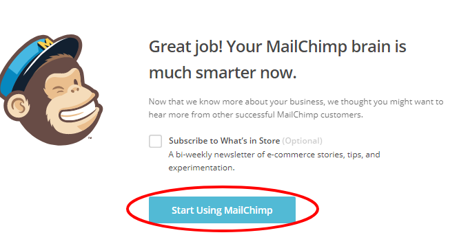 Подпись на рассылку писем от команды MailChimp
